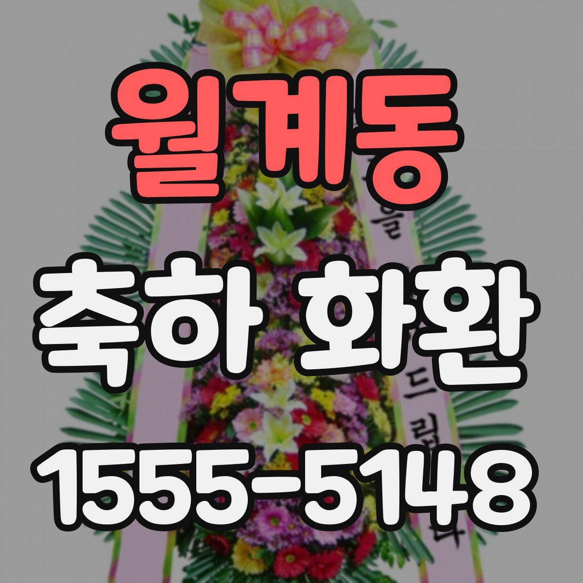월계동 축하 화환