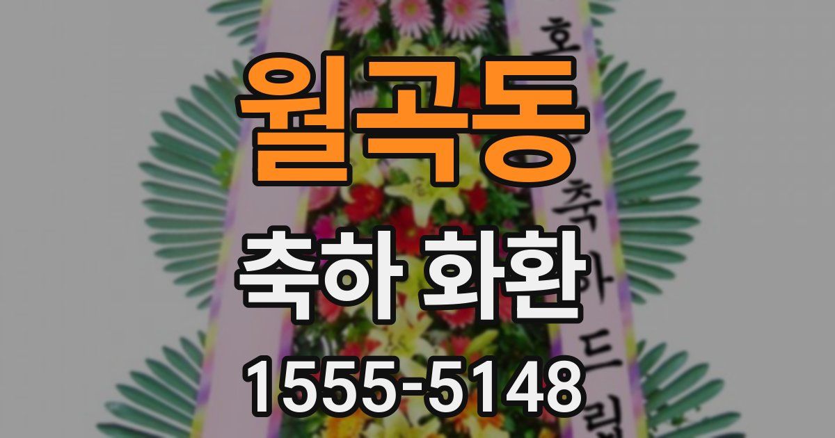 월곡동 축하 화환