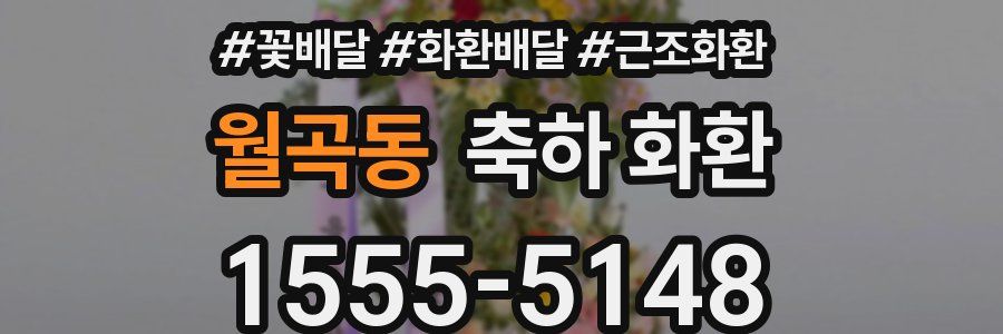 월곡동 축하 화환