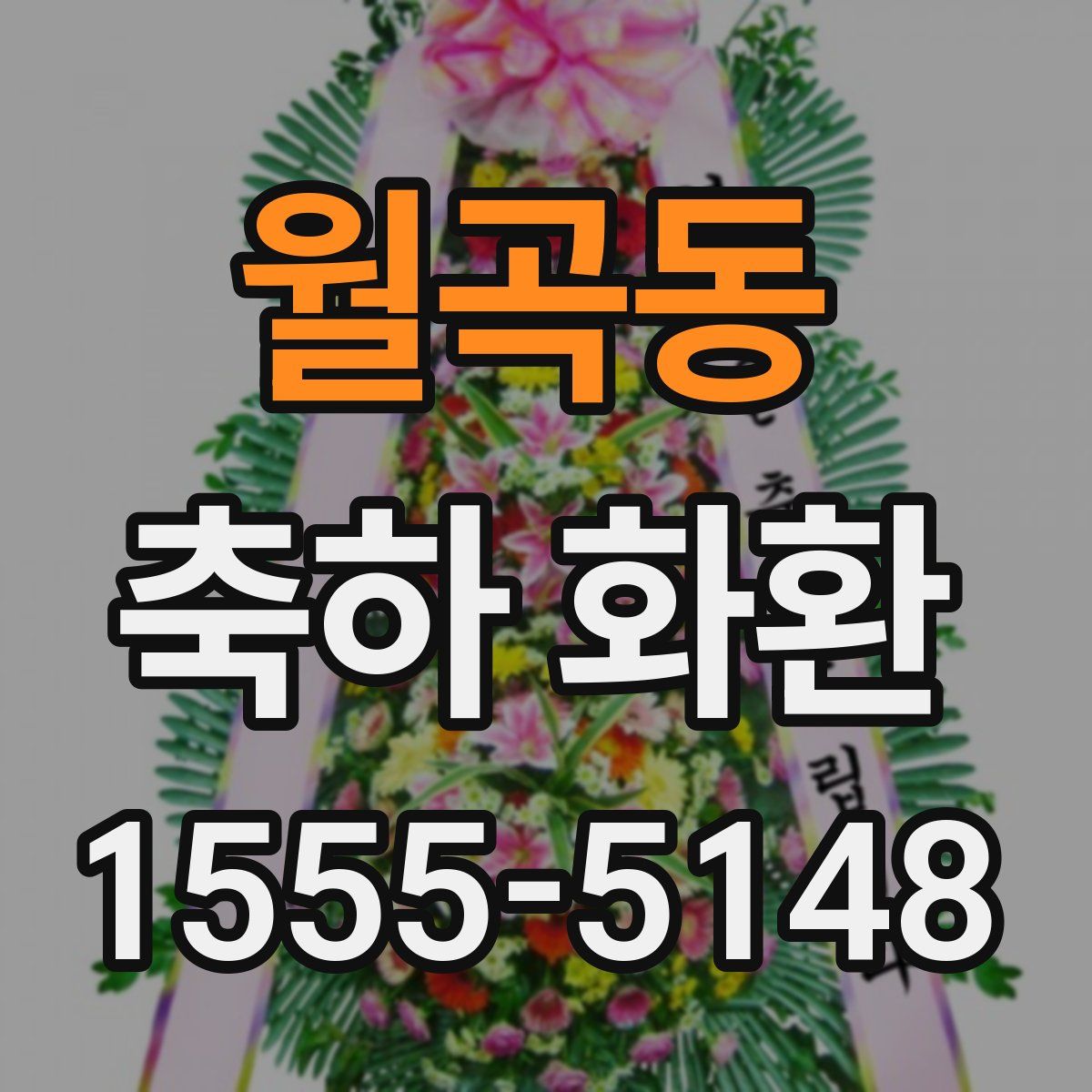 월곡동 축하 화환