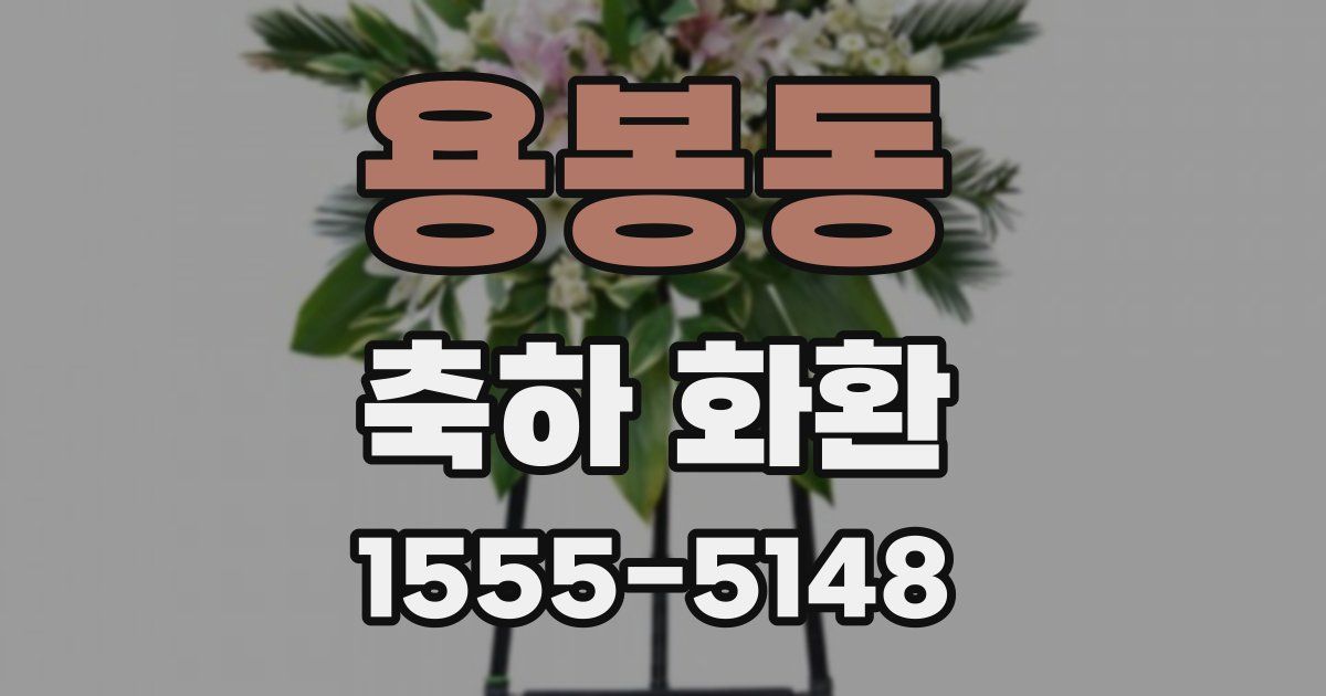 용봉동 축하 화환
