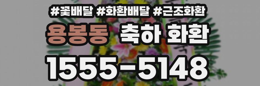 용봉동 축하 화환