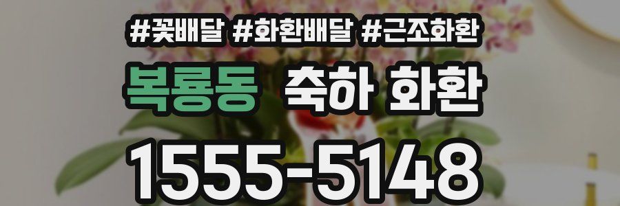 복룡동 축하 화환
