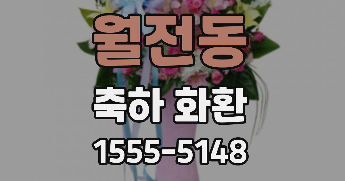 월전동 축하 화환