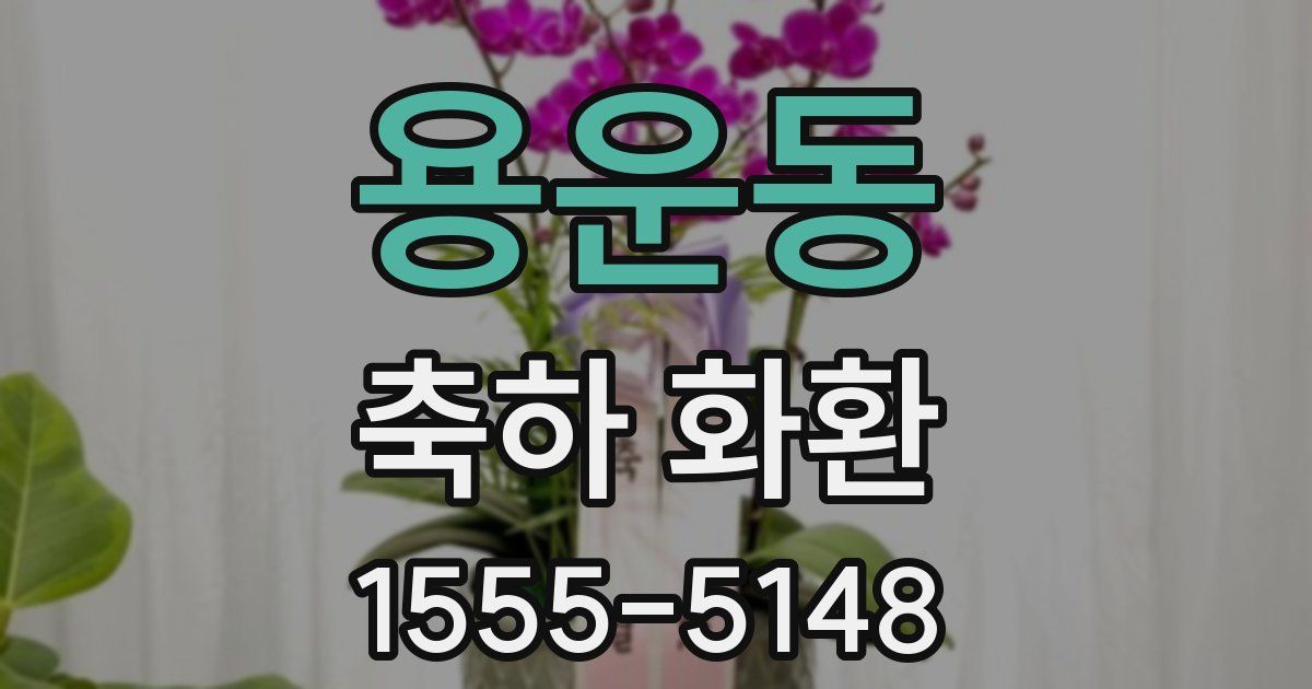 용운동 축하 화환