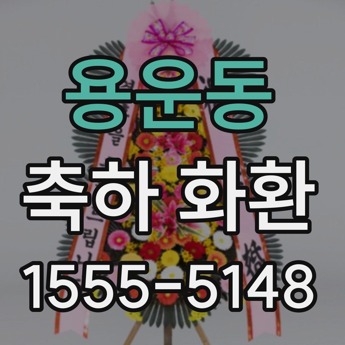 용운동 축하 화환