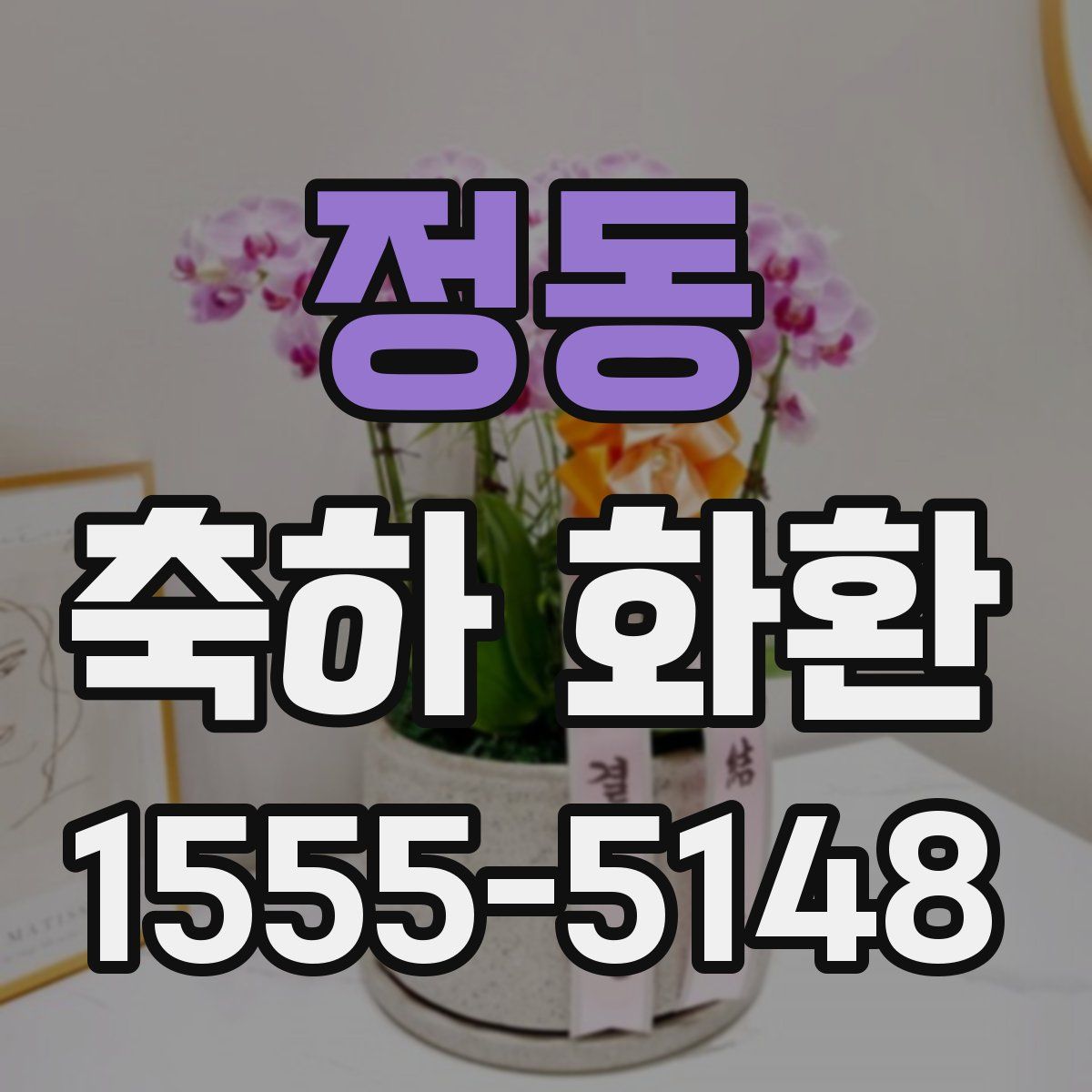 정동 축하 화환