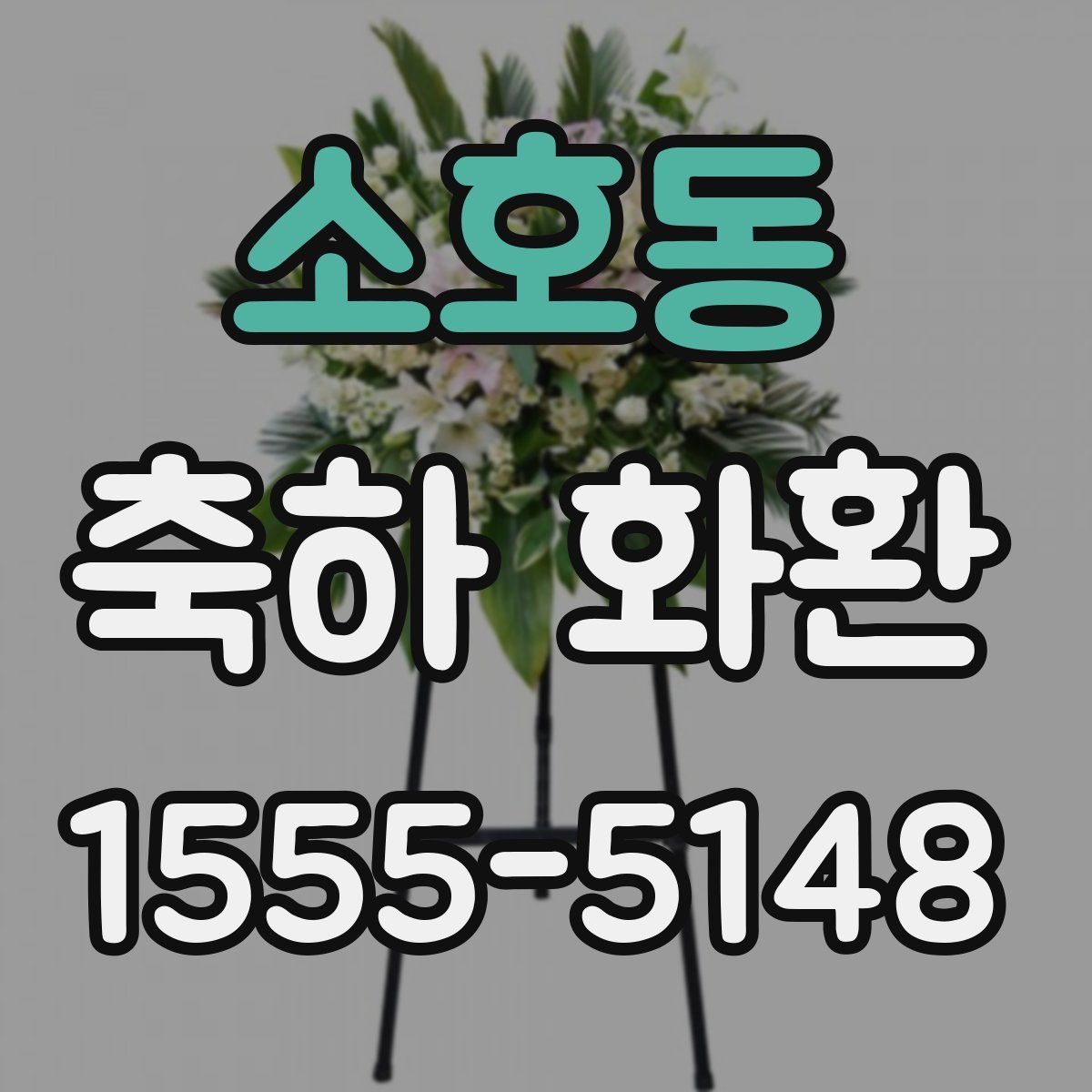 소호동 축하 화환