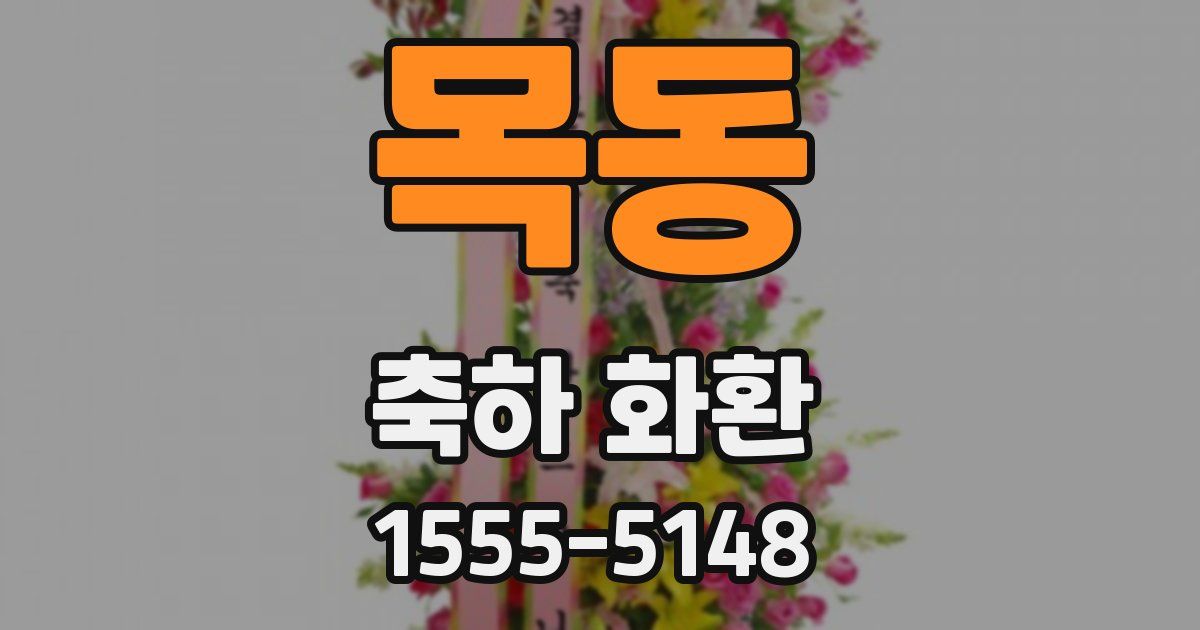 목동 축하 화환