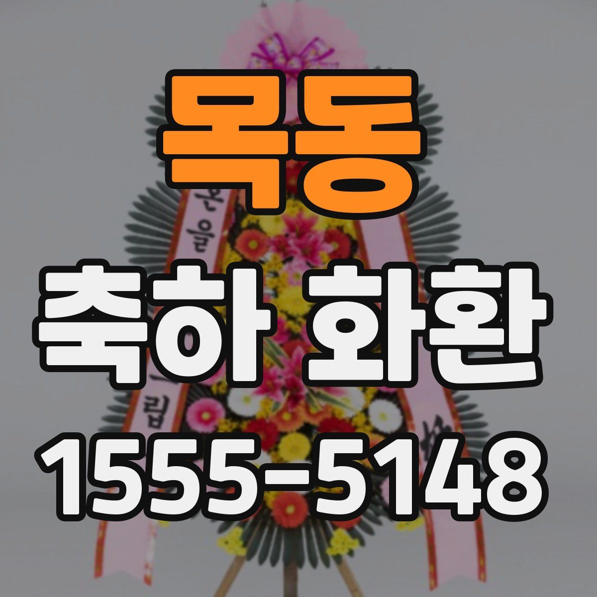 목동 축하 화환