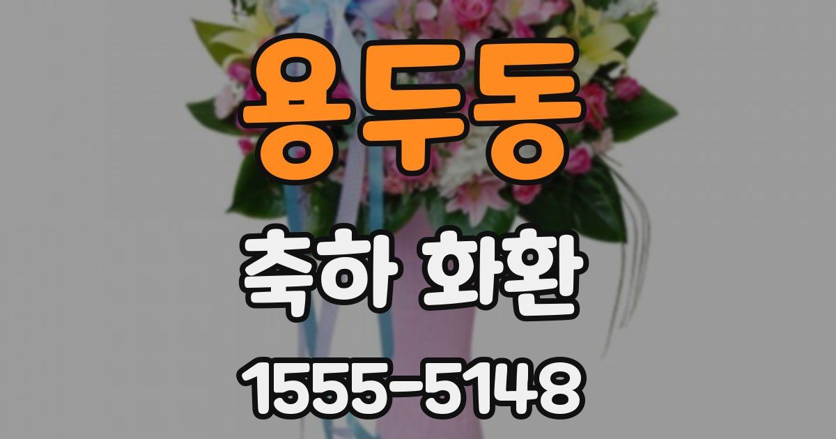 용두동 축하 화환