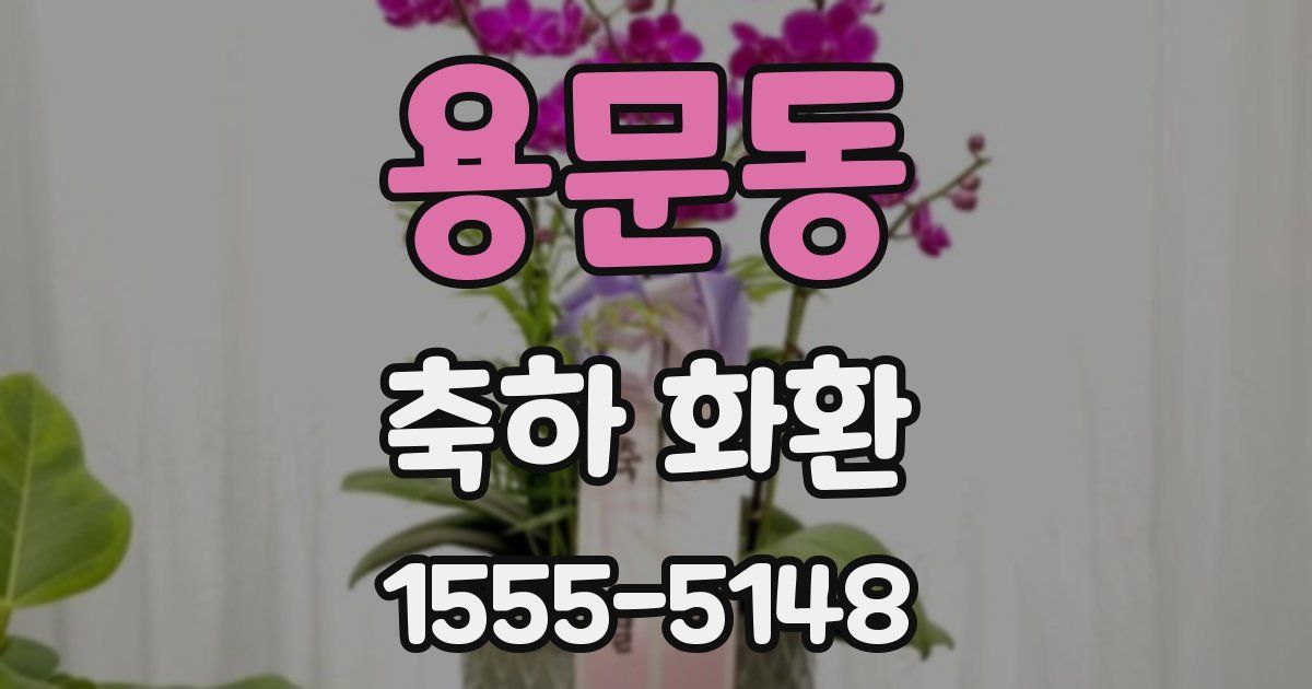 용문동 축하 화환