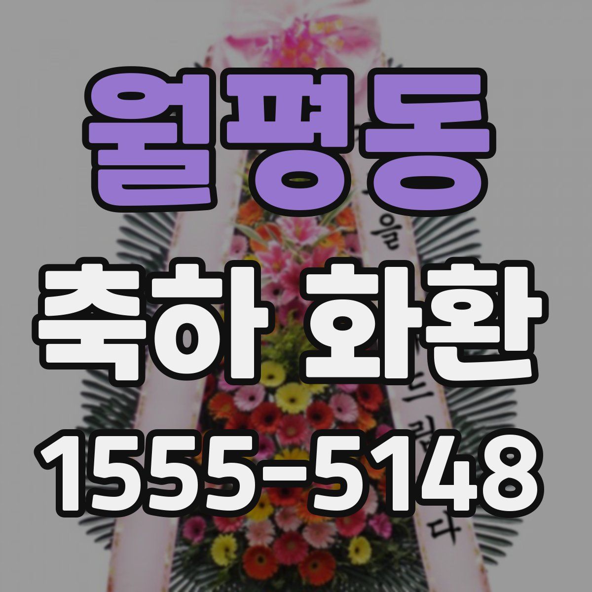 월평동 축하 화환