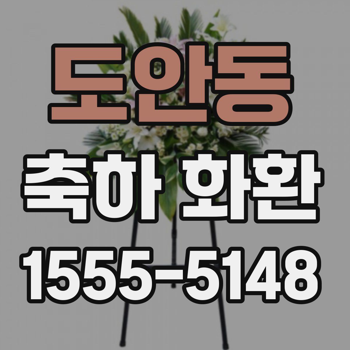 도안동 축하 화환