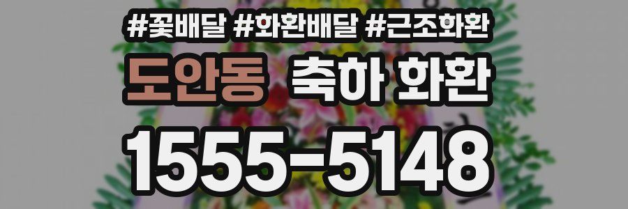 도안동 축하 화환