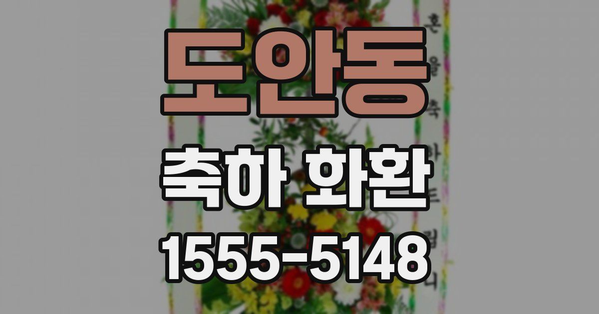 도안동 축하 화환