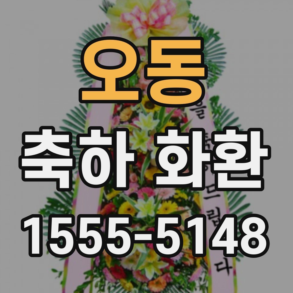 오동 축하 화환 전시 공간에 맞춘 배치 팁