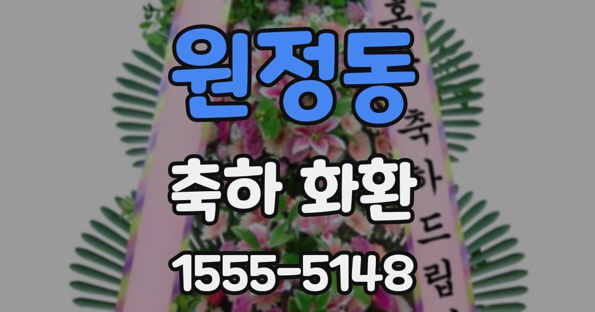 원정동 축하 화환