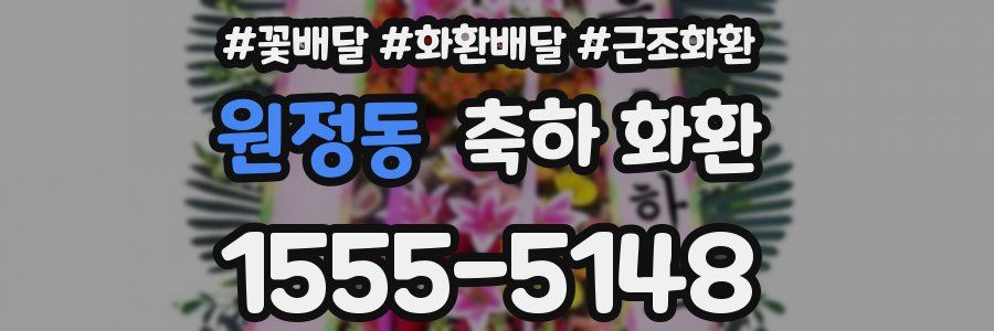 원정동 축하 화환