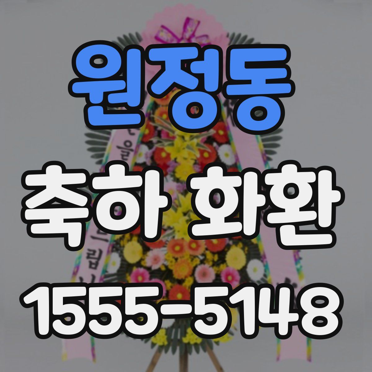 원정동 축하 화환