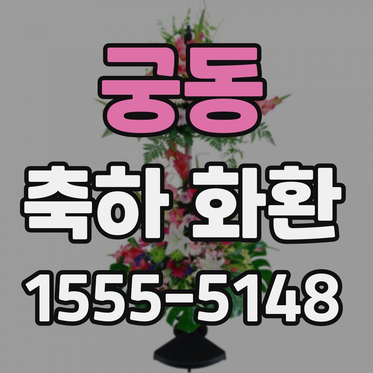 궁동 축하 화환
