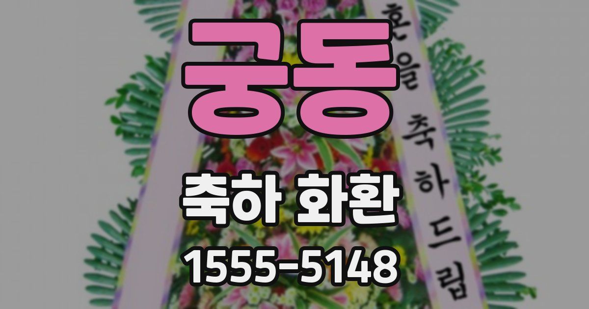 궁동 축하 화환