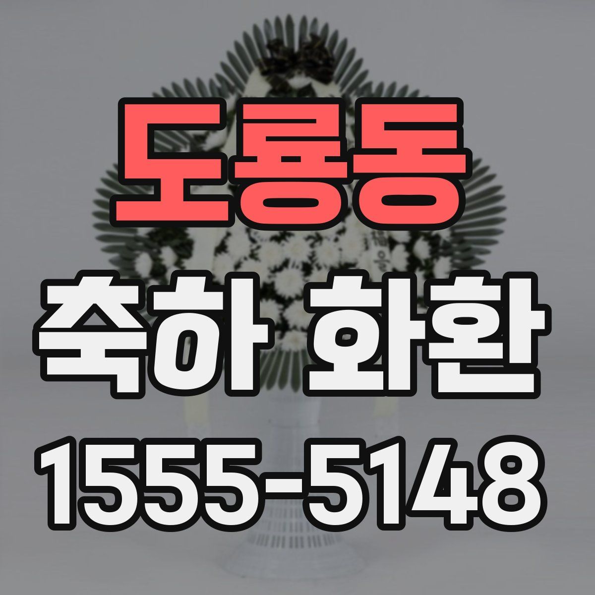 도룡동 축하 화환