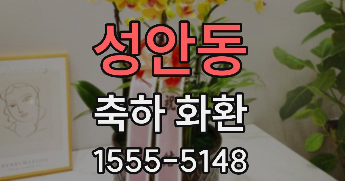 성안동 축하 화환