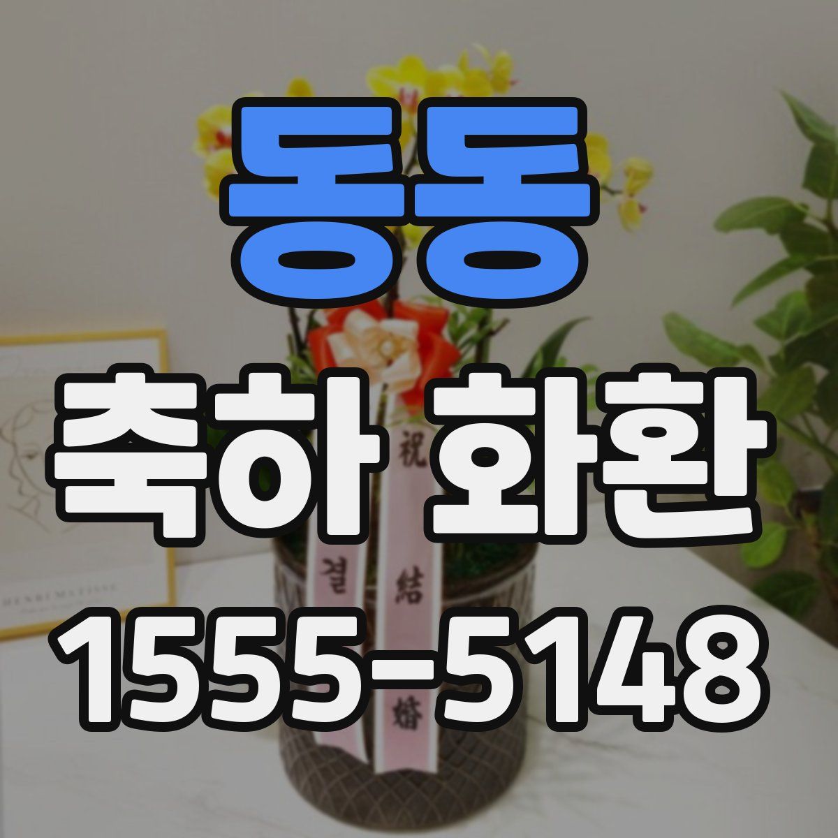 동동 축하 화환