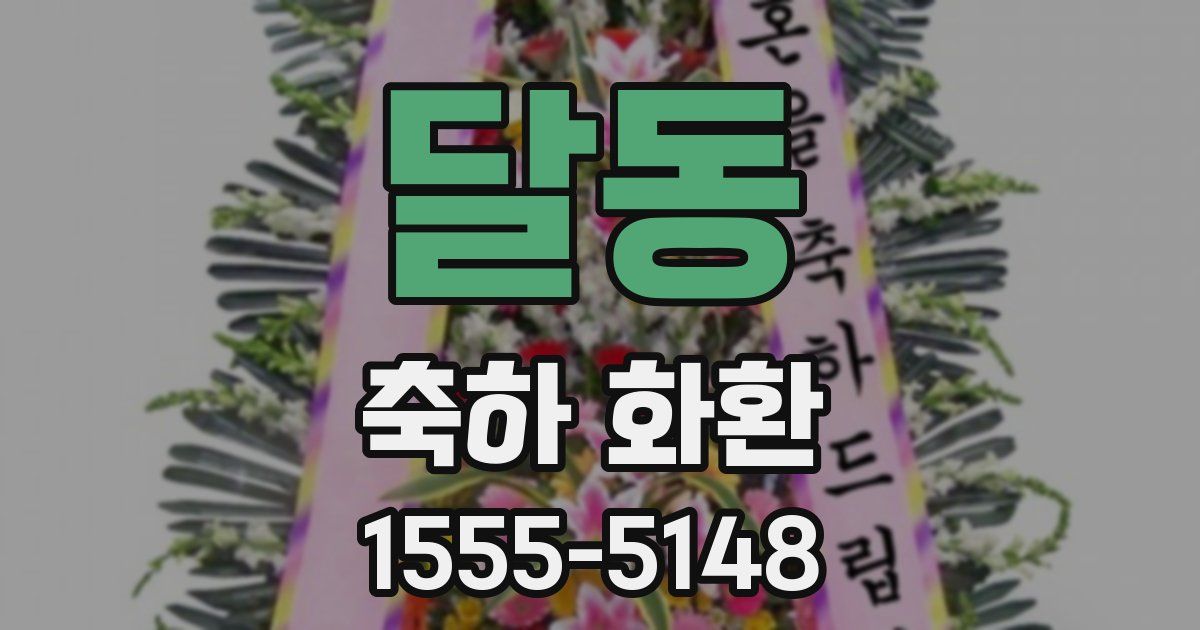달동 축하 화환