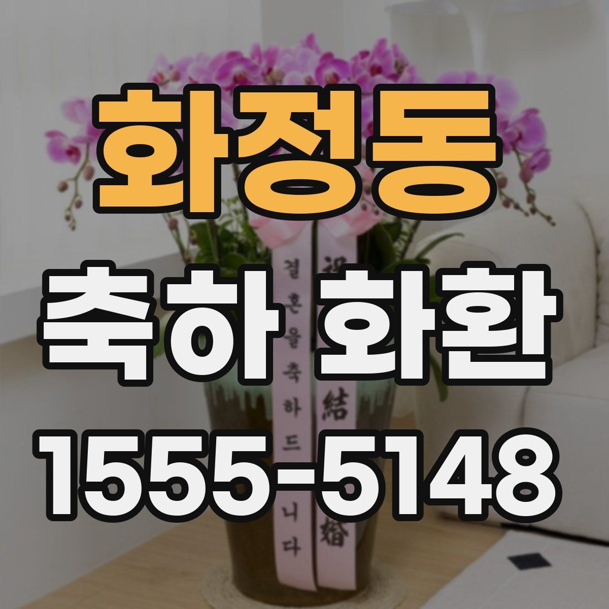 화정동 축하 화환