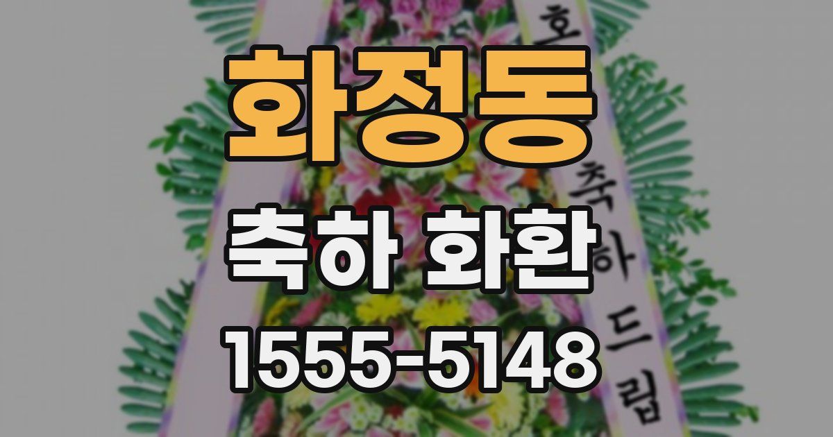 화정동 축하 화환