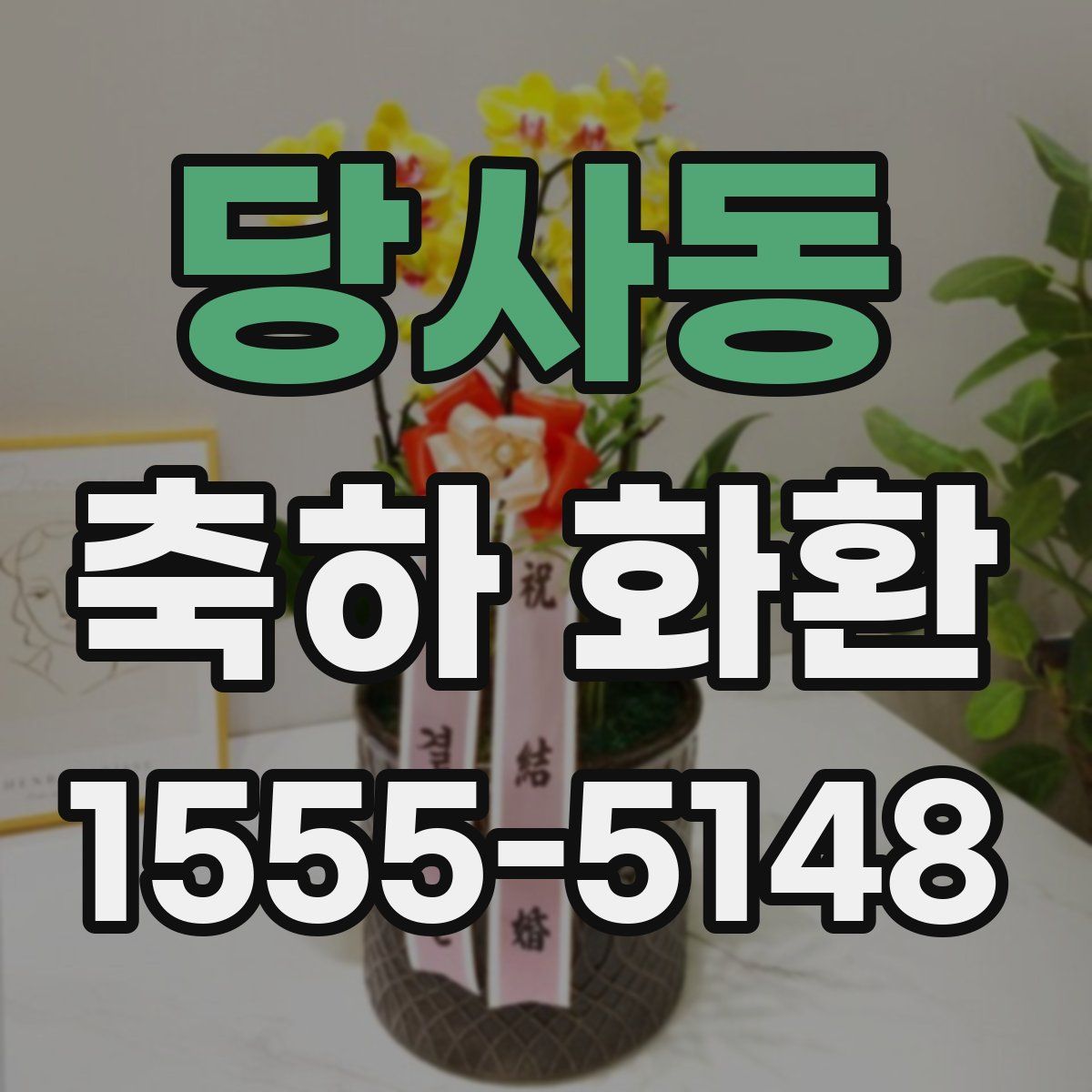 당사동 축하 화환