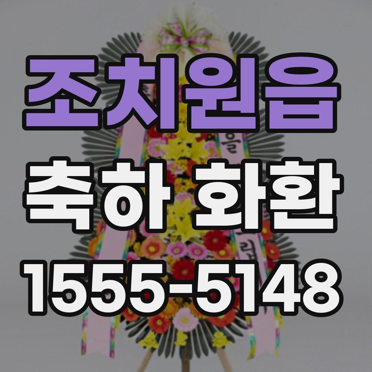 조치원읍 축하 화환