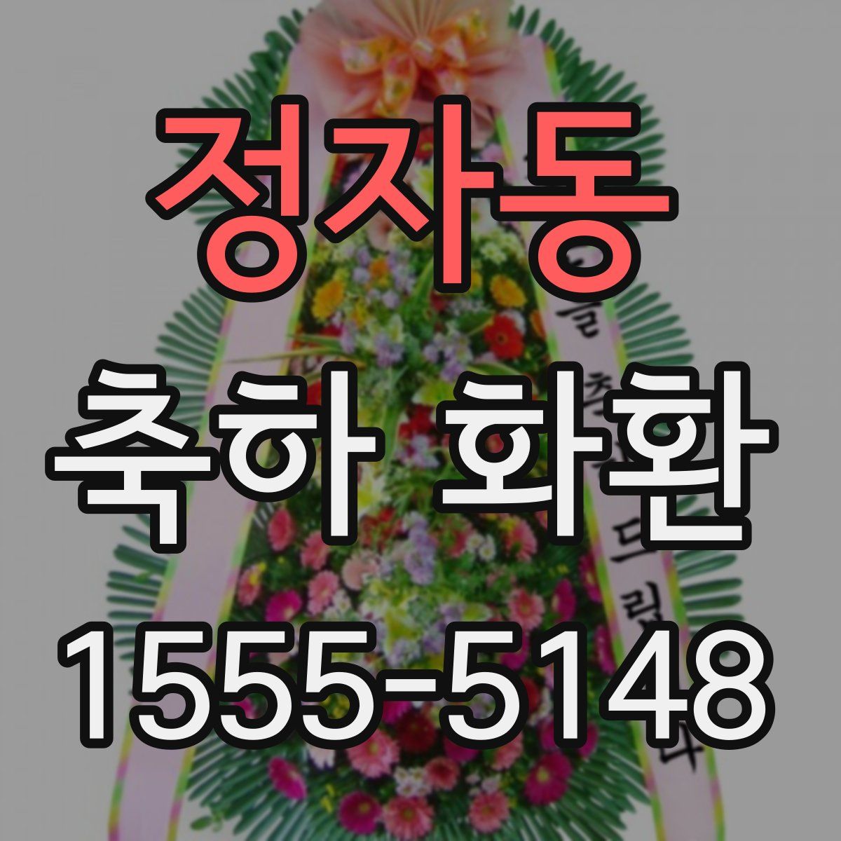 정자동 축하 화환