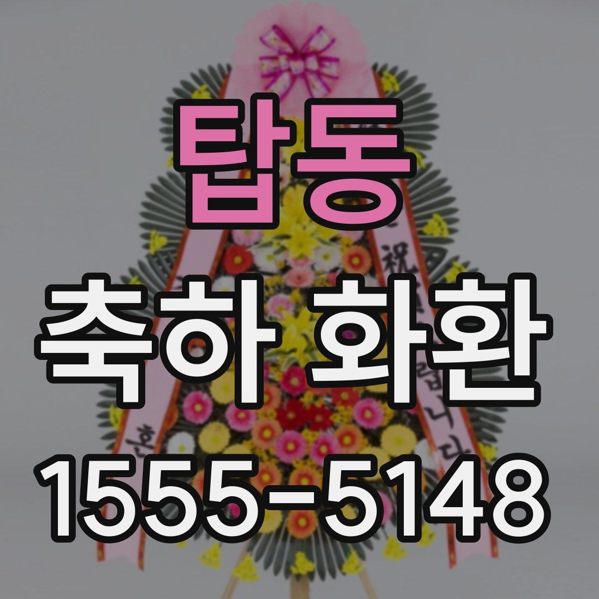 탑동 축하 화환