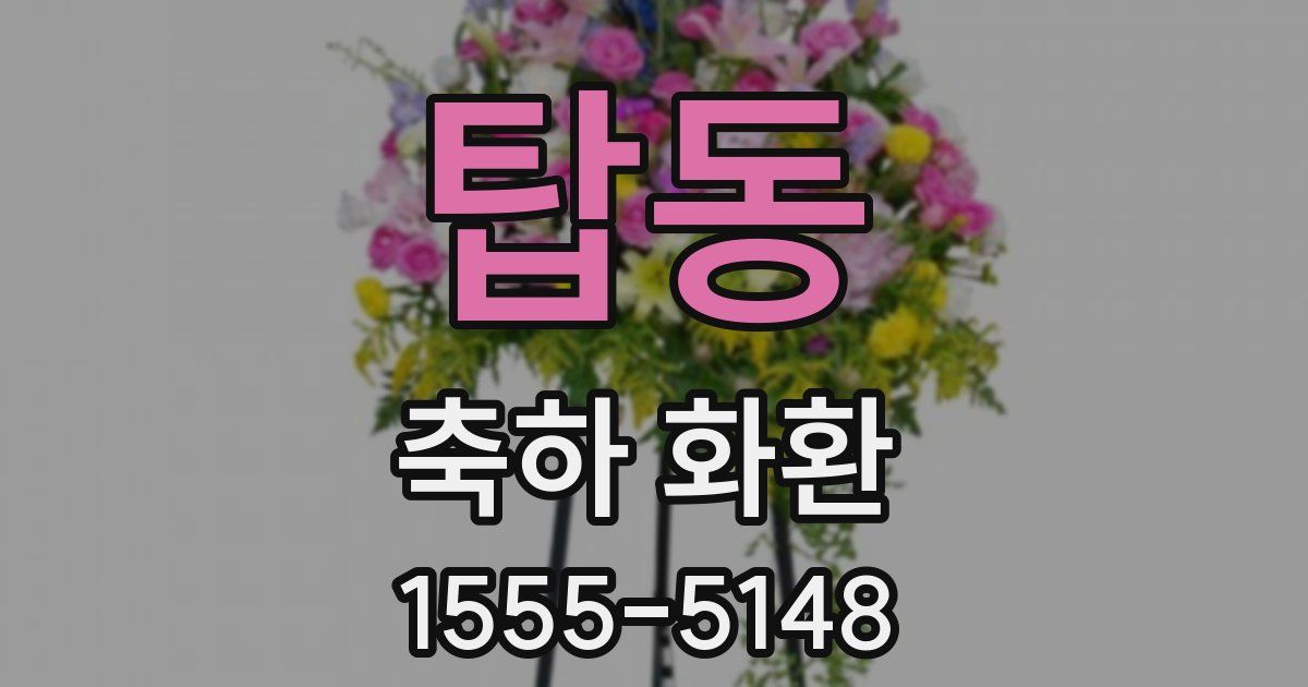 탑동 축하 화환
