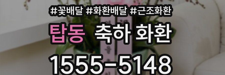 탑동 축하 화환