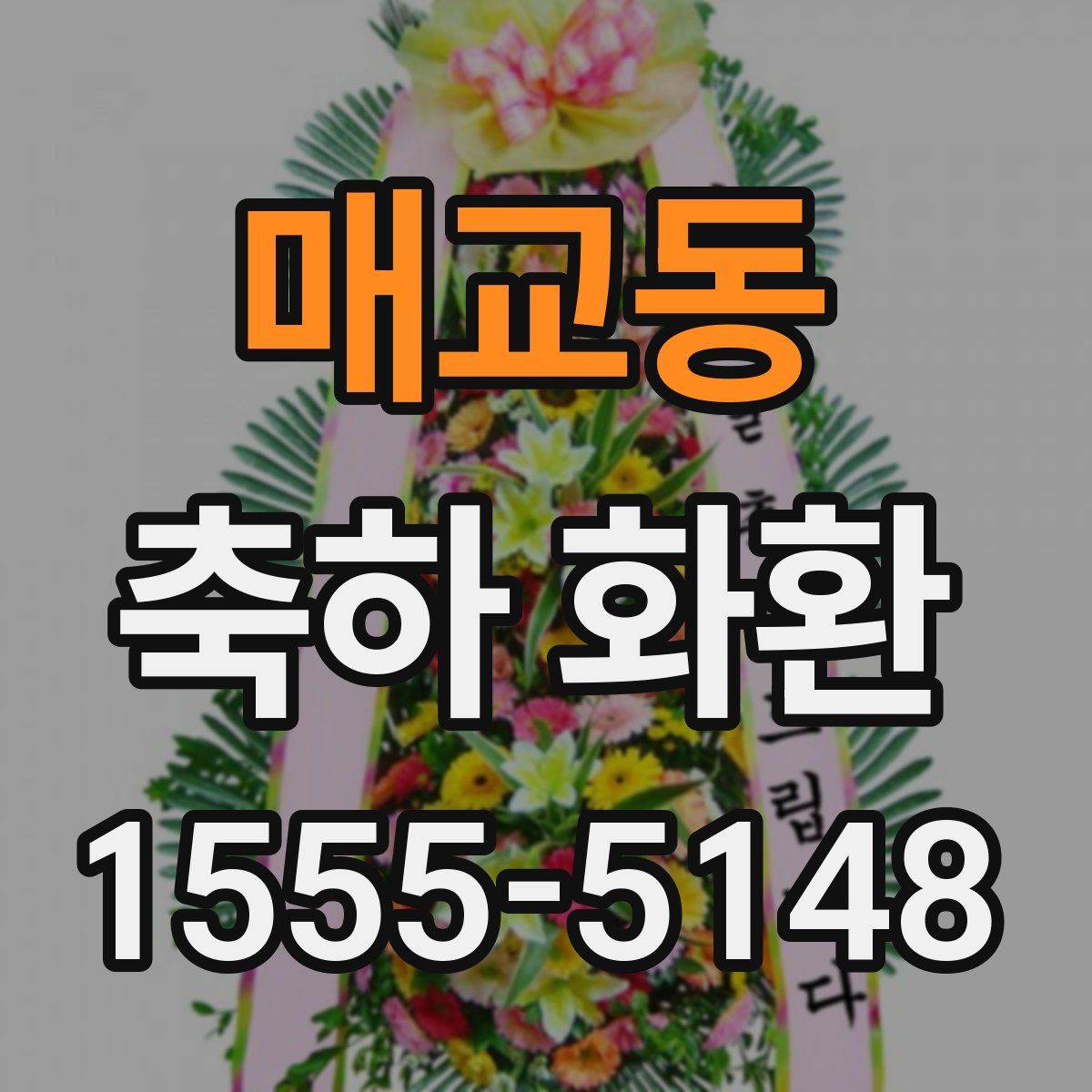 매교동 축하 화환