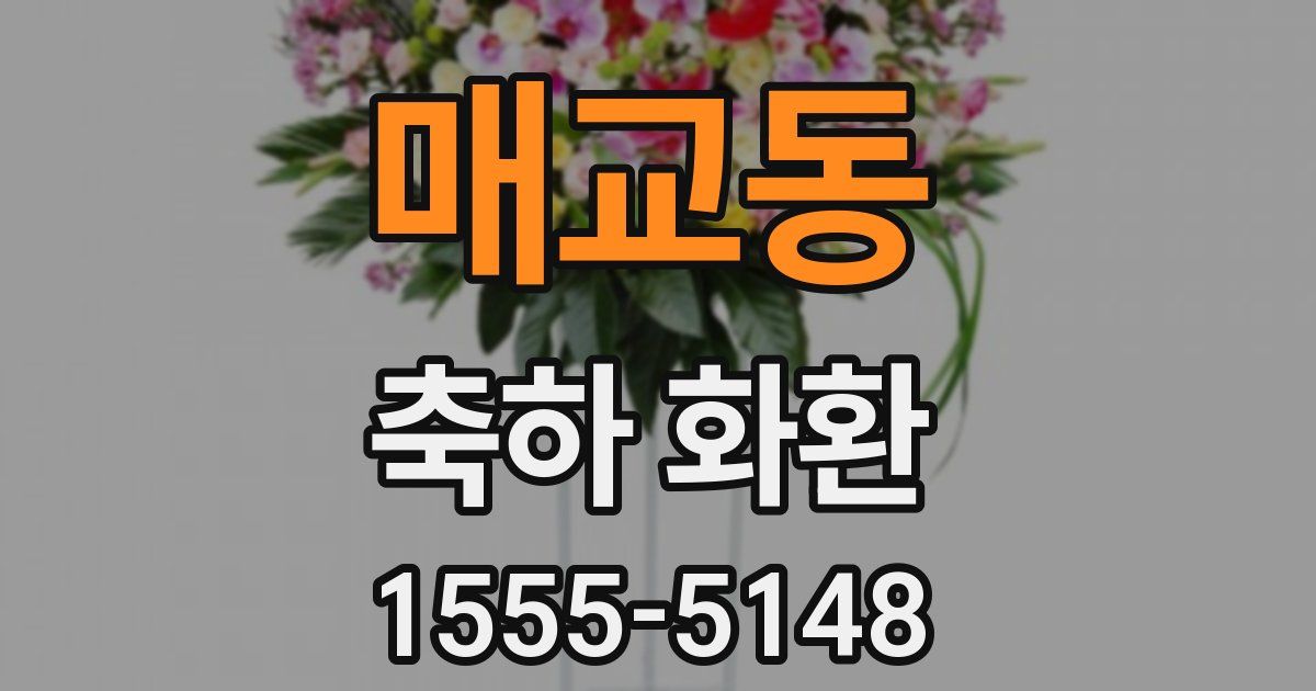 매교동 축하 화환