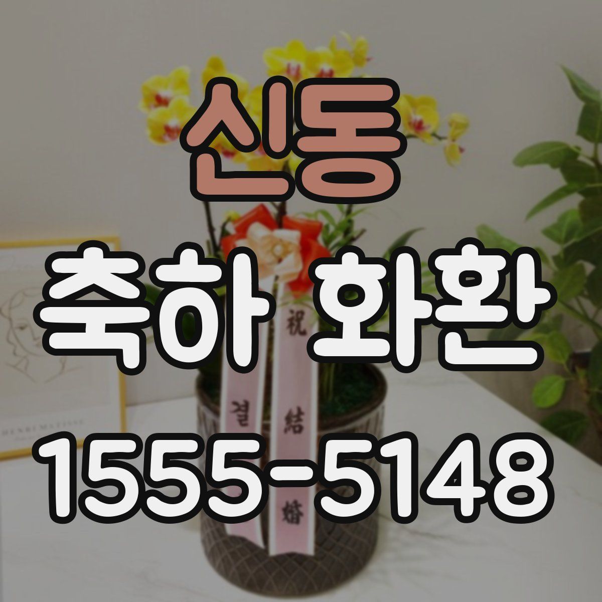신동 축하 화환