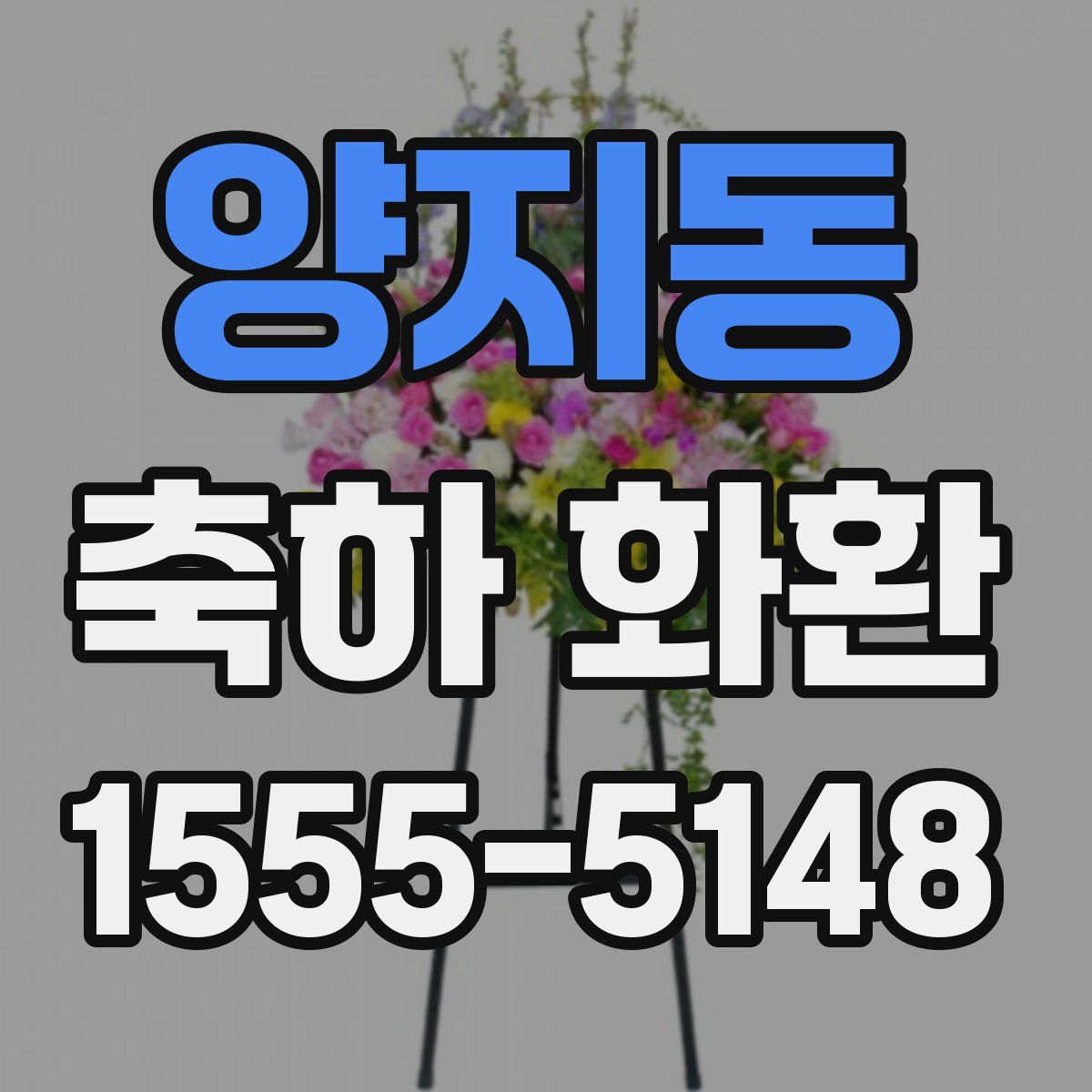 양지동 축하 화환