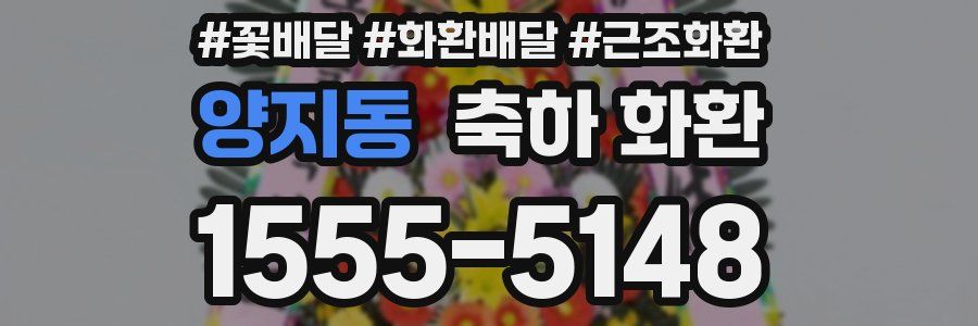 양지동 축하 화환