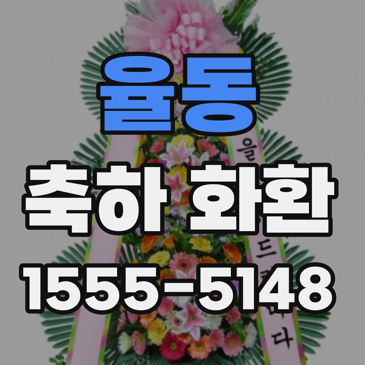 율동 축하 화환