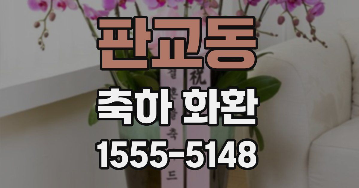 판교동 축하 화환