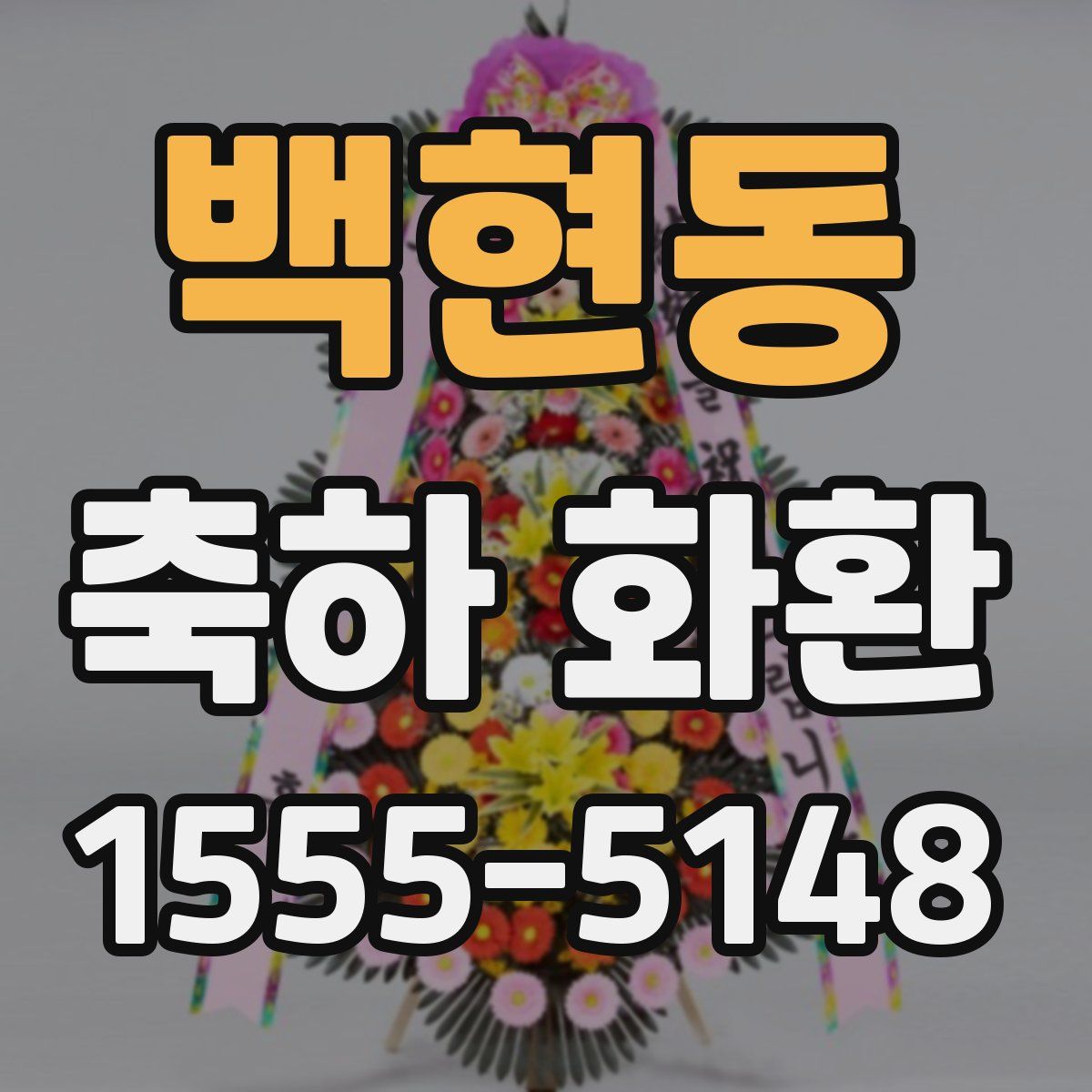 백현동 축하 화환