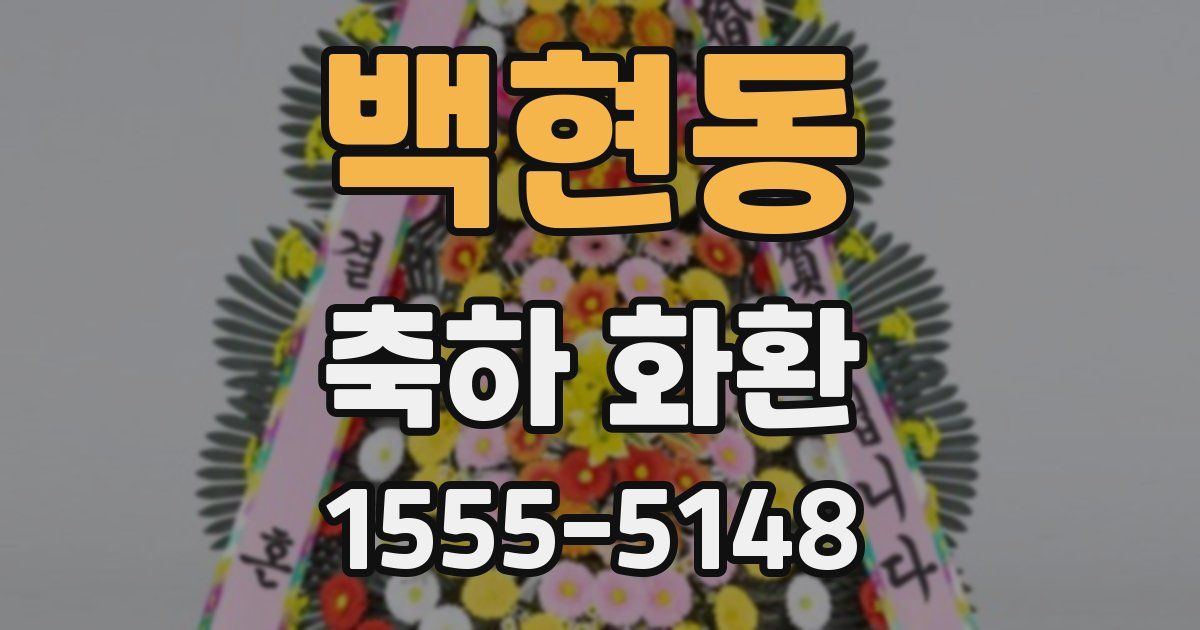 백현동 축하 화환
