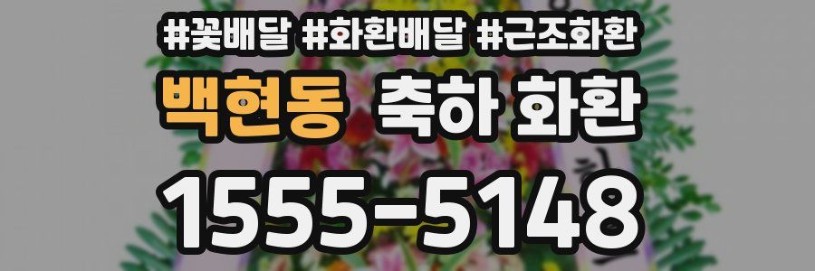 백현동 축하 화환