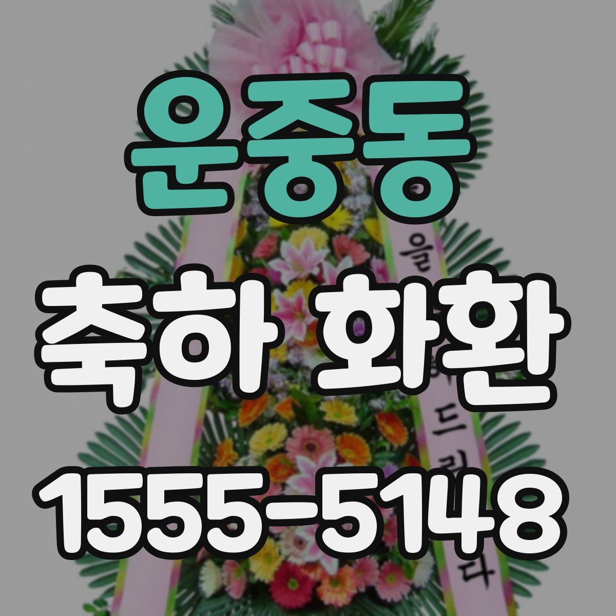 운중동 축하 화환