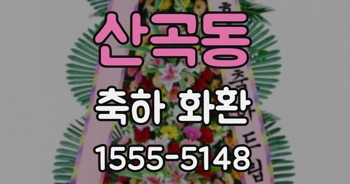 산곡동 축하 화환
